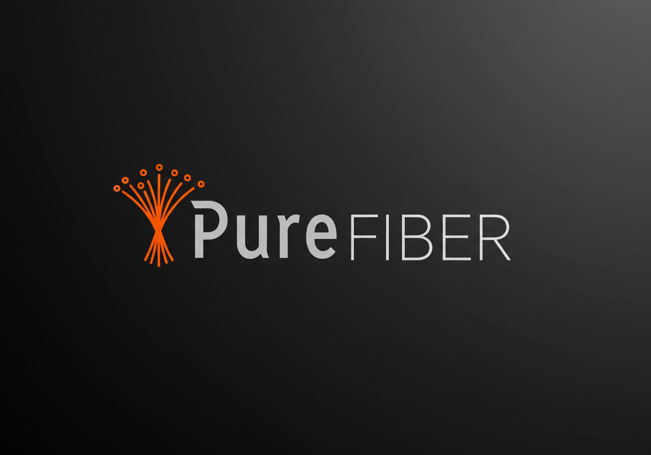 Pure-Link Telecom Logo